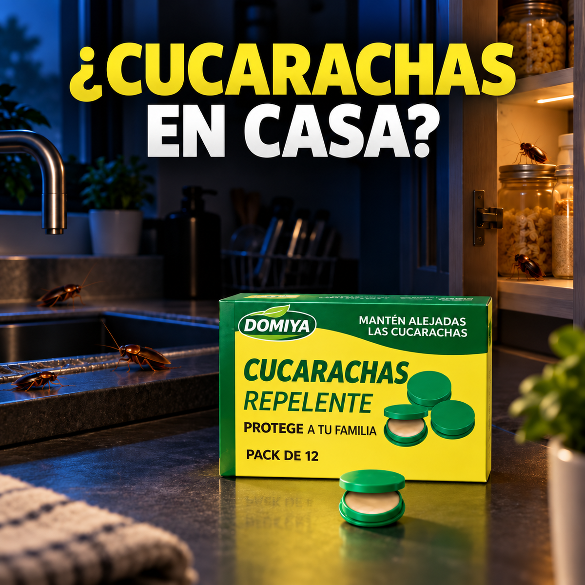Problema de cucarachas en casa con trampa Domiya